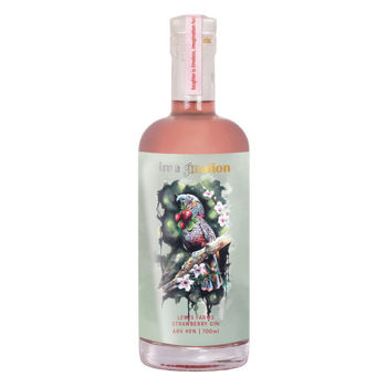 Picture of Imagination Syrah Barrel Aged Dry Gin 700ml - copy